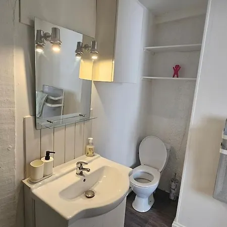 Apartment Au Vieux Palais - Center *